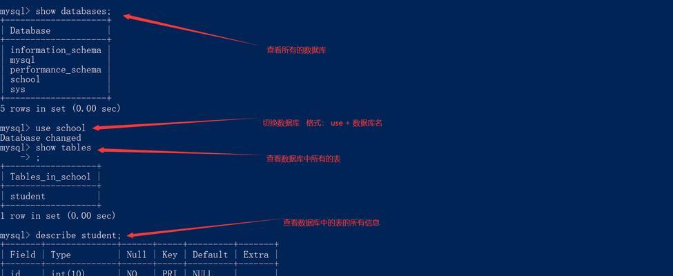 如何使用命令创建数据库（学习创建数据库的基本命令及步骤）