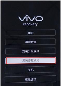 解除vivo手机反复重启的方法（快速教你解决vivo手机反复重启问题）