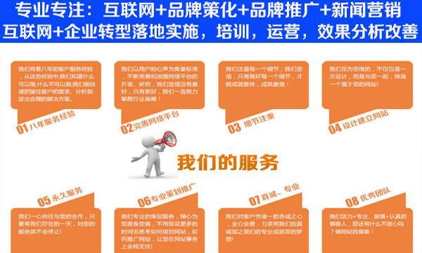 企业网站营销的实现方式（探索企业网站营销的有效策略及技巧）