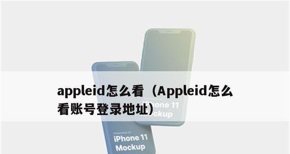 如何创建AppleID账号（详细步骤教你快速注册AppleID账号）