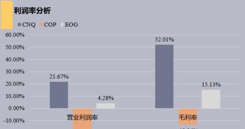 2024年软件开发公司排行榜发布，谁是最佳选择（探索全球软件开发公司的实力与发展）